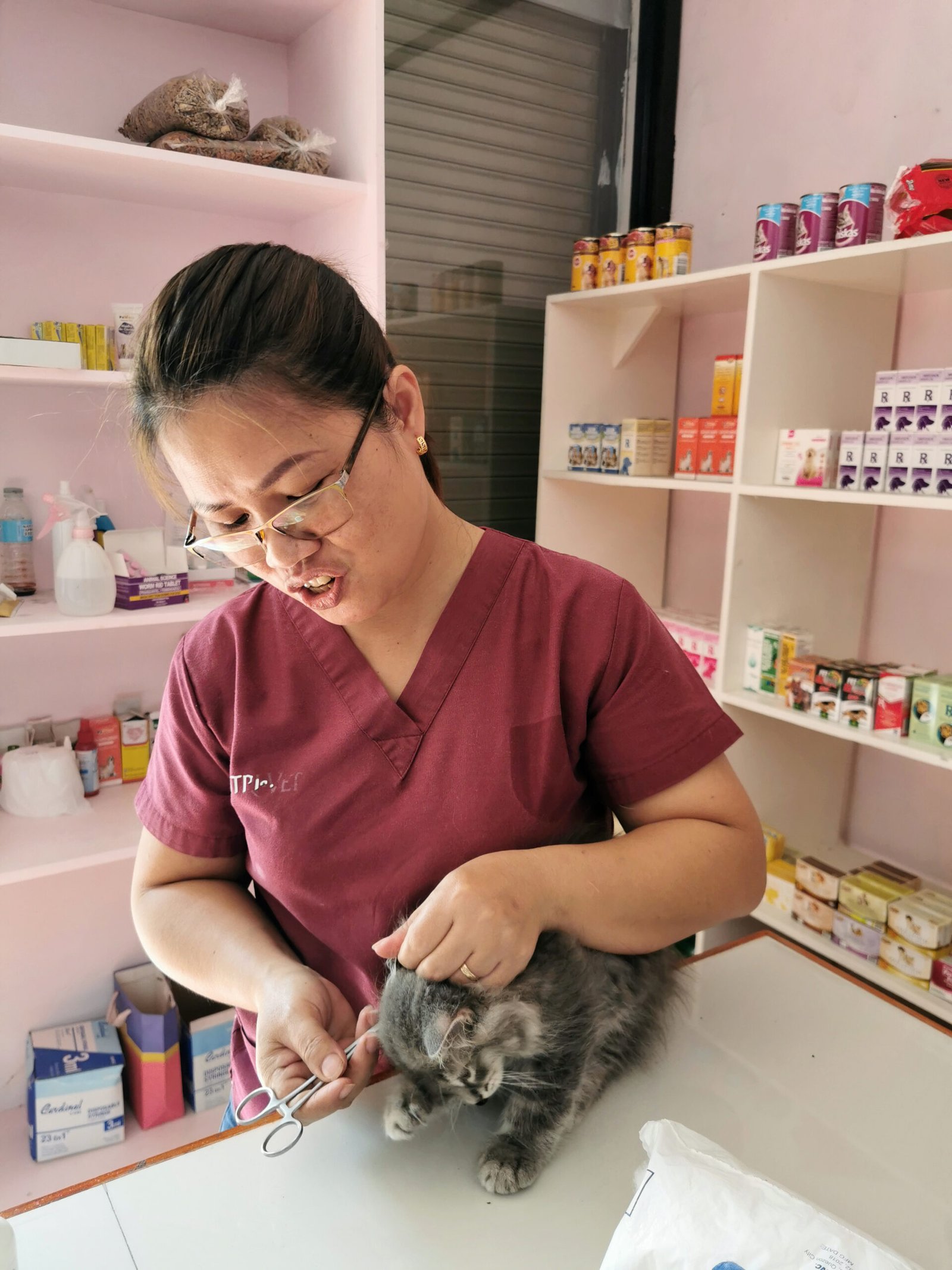 Pet vaccination services in Polomolok South Cotabato, Pet Health and Wellness,