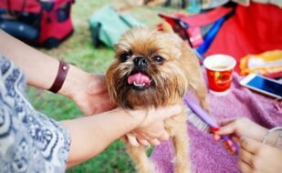 blog_edit1 blog_edit1