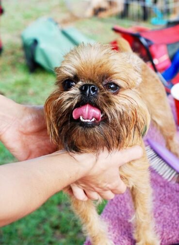 blog_edit1 blog_edit1