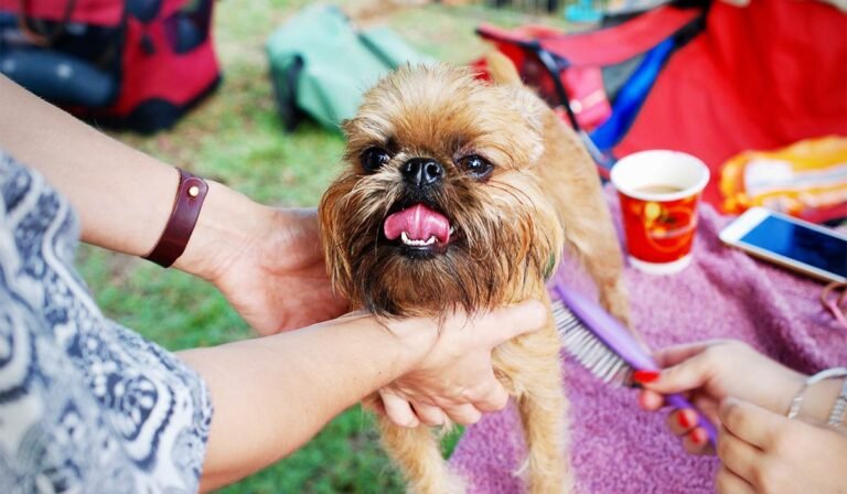 blog_edit1 blog_edit1