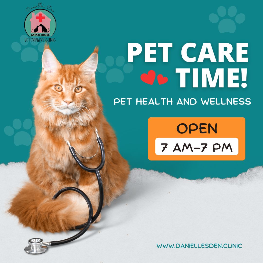 pet health, veterinary care, pet clinic, pet wellness, pet nutrition, emergency pet care, pet vaccinations, senior pet care, pet behavior, Danielle's Den Clinic,